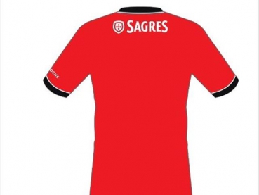 S.L. Benfica Home Trikot Saison 2013/2014 Replica Kinder