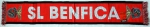 S.L.Benfica Schal